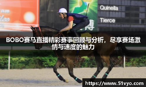 BOBO赛马直播精彩赛事回顾与分析，尽享赛场激情与速度的魅力