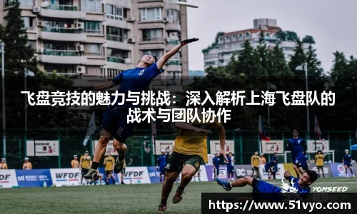 飞盘竞技的魅力与挑战：深入解析上海飞盘队的战术与团队协作